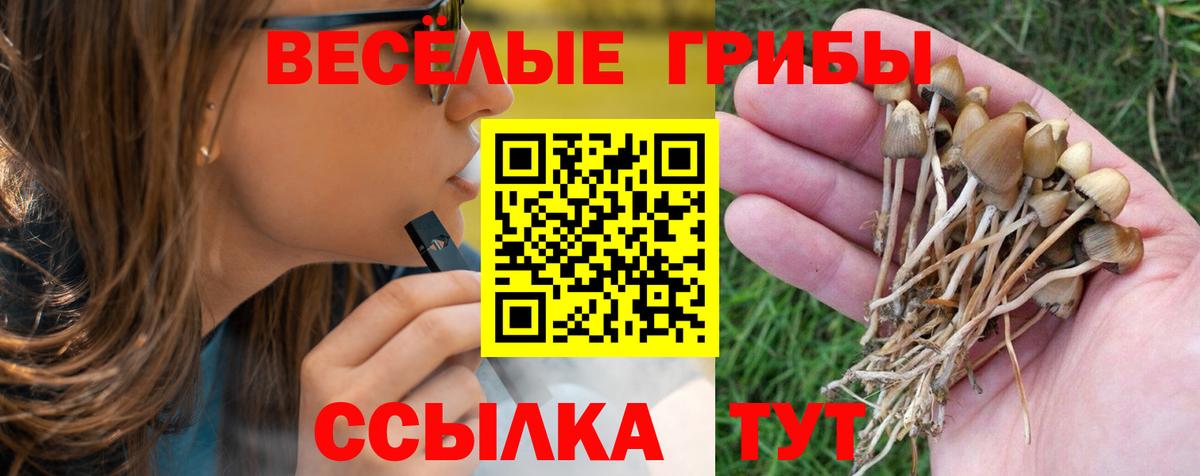 Сертолово  Галлюциногенные грибы Psilocybe  Вход с VPN 
